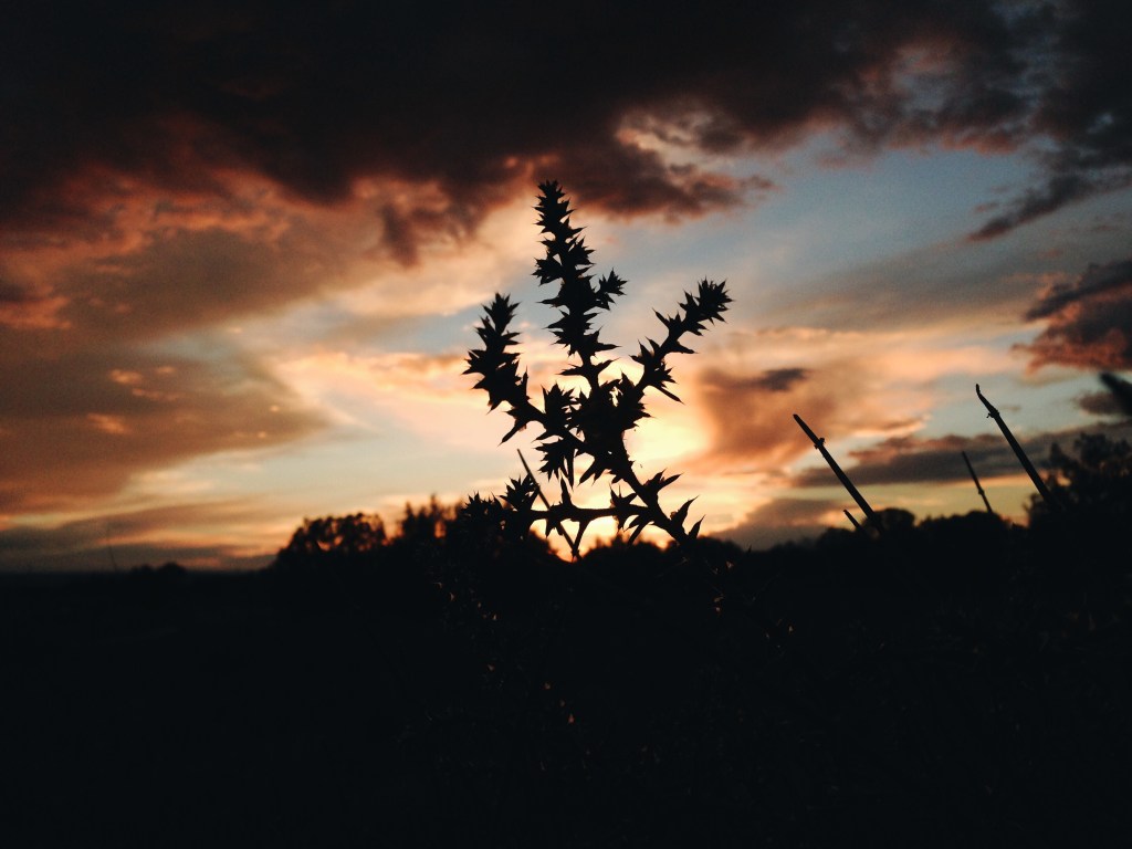 He makes all things&nbsp;new.